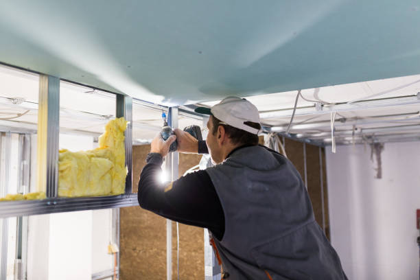 Best Insulation Removal  in Moscow, PA